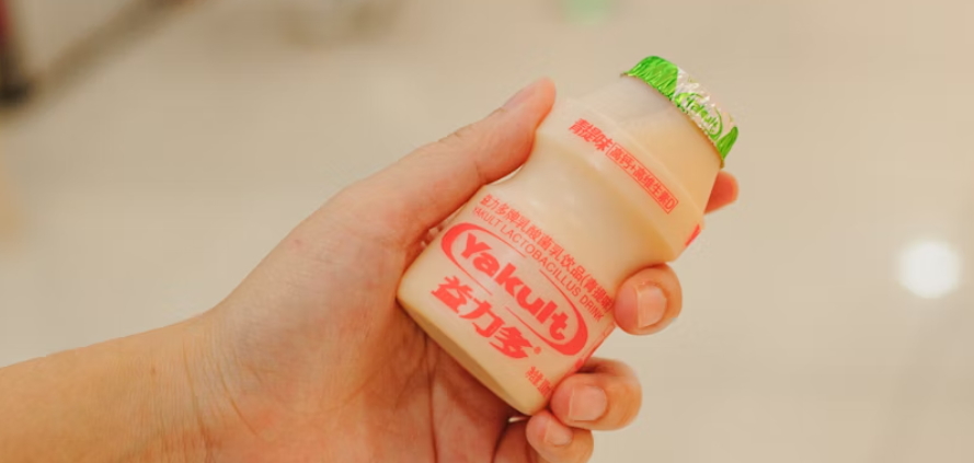 유산균 요구르트 장 건강