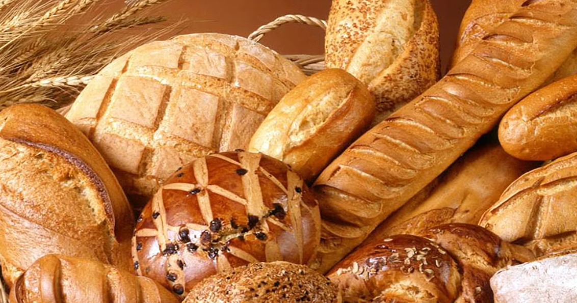 건강한 빵 찾기 도전기