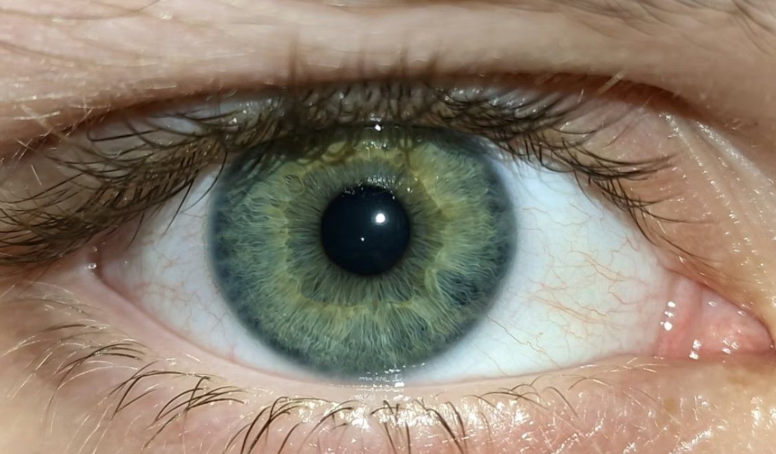 콩주머니 눈 피로 해소