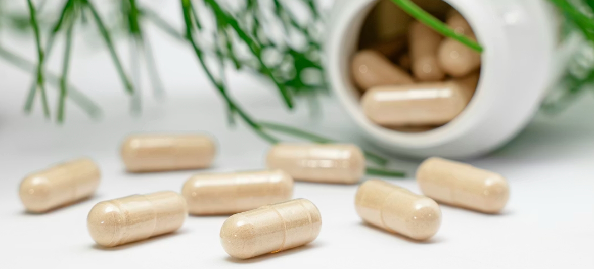 건강보조식품과 건강기능식품 차이